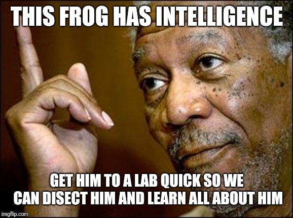 This Morgan Freeman | THIS FROG HAS INTELLIGENCE GET HIM TO A LAB QUICK SO WE CAN DISECT HIM AND LEARN ALL ABOUT HIM | image tagged in this morgan freeman | made w/ Imgflip meme maker