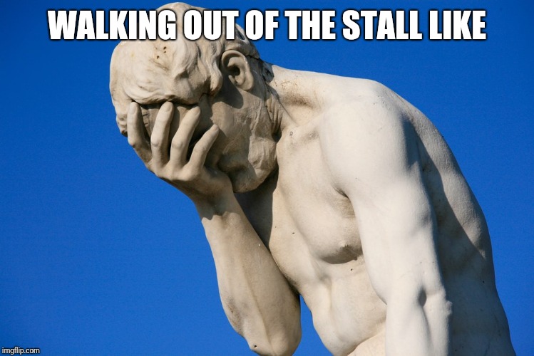 Embarrassed statue  | WALKING OUT OF THE STALL LIKE | image tagged in embarrassed statue | made w/ Imgflip meme maker