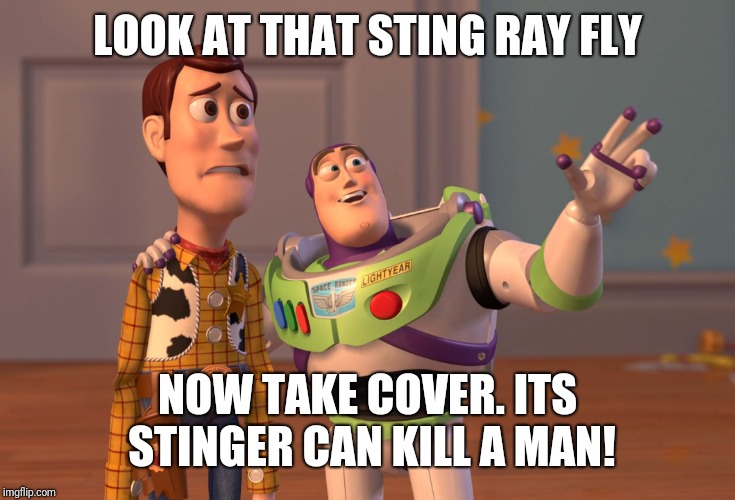 X, X Everywhere Meme | LOOK AT THAT STING RAY FLY NOW TAKE COVER. ITS STINGER CAN KILL A MAN! | image tagged in memes,x x everywhere | made w/ Imgflip meme maker
