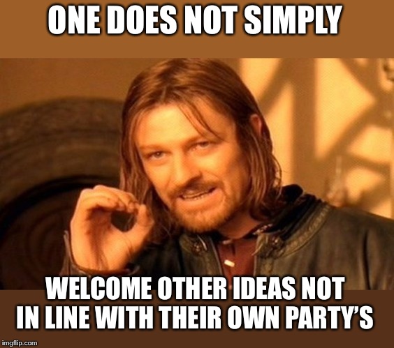 One Does Not Simply Meme | ONE DOES NOT SIMPLY WELCOME OTHER IDEAS NOT IN LINE WITH THEIR OWN PARTY’S | image tagged in memes,one does not simply | made w/ Imgflip meme maker