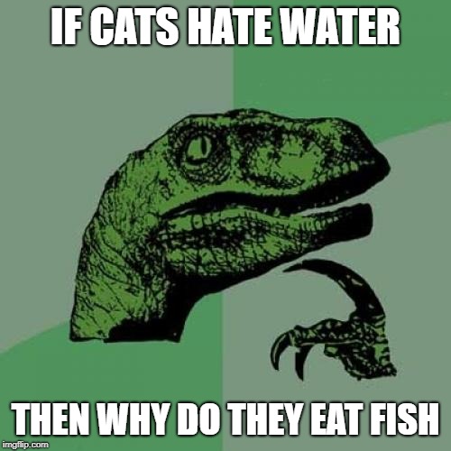 Philosoraptor Meme | IF CATS HATE WATER; THEN WHY DO THEY EAT FISH | image tagged in memes,philosoraptor | made w/ Imgflip meme maker