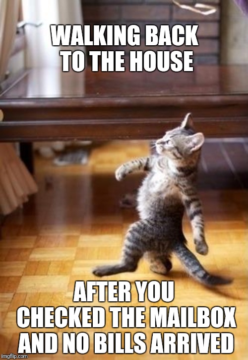 Cool, no bills! | WALKING BACK TO THE HOUSE; AFTER YOU CHECKED THE MAILBOX AND NO BILLS ARRIVED | image tagged in memes,cool cat stroll,bills,money | made w/ Imgflip meme maker