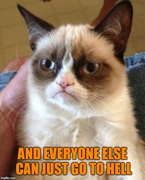Grumpy Cat Meme | AND EVERYONE ELSE CAN JUST GO TO HELL | image tagged in memes,grumpy cat | made w/ Imgflip meme maker