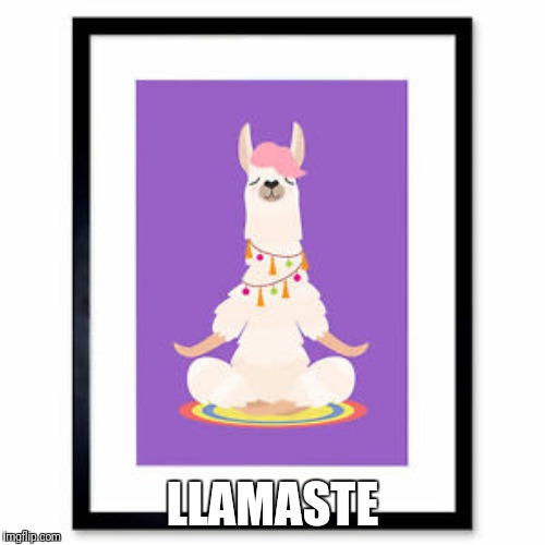 Llamaste | LLAMASTE | image tagged in funny llama,llamaste | made w/ Imgflip meme maker