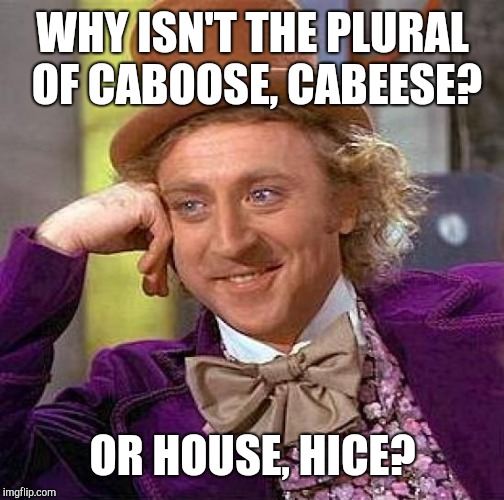 Creepy Condescending Wonka Meme | WHY ISN'T THE PLURAL OF CABOOSE, CABEESE? OR HOUSE, HICE? | image tagged in memes,creepy condescending wonka | made w/ Imgflip meme maker
