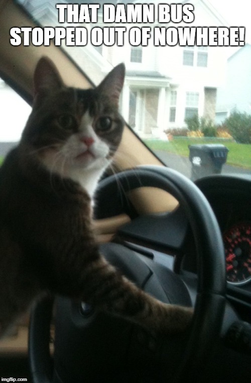 JoJo The Driving Cat | THAT DAMN BUS STOPPED OUT OF NOWHERE! | image tagged in jojo the driving cat | made w/ Imgflip meme maker