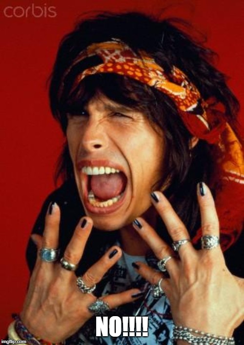 Steven tyler | NO!!!! | image tagged in steven tyler | made w/ Imgflip meme maker