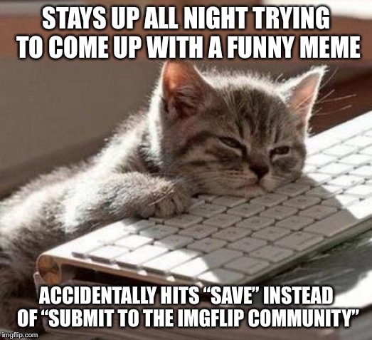 tired cat | STAYS UP ALL NIGHT TRYING TO COME UP WITH A FUNNY MEME; ACCIDENTALLY HITS “SAVE” INSTEAD OF “SUBMIT TO THE IMGFLIP COMMUNITY” | image tagged in tired cat | made w/ Imgflip meme maker