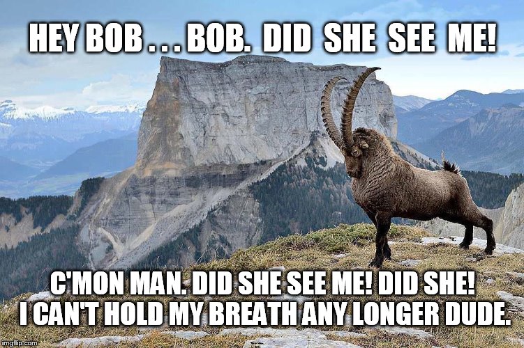 How a "real bro" impresses the babes...oh yeah. | HEY BOB . . . BOB.  DID  SHE  SEE  ME! C'MON MAN. DID SHE SEE ME! DID SHE! I CAN'T HOLD MY BREATH ANY LONGER DUDE. | image tagged in manly | made w/ Imgflip meme maker