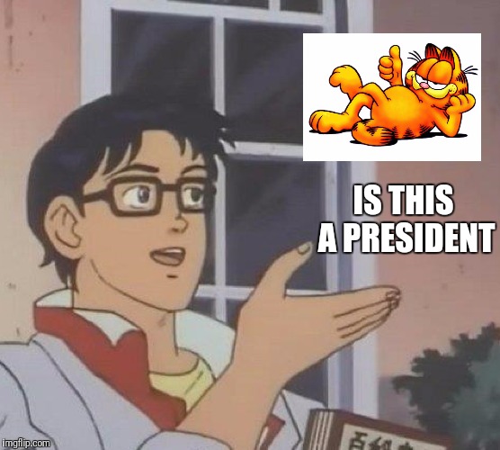 Yes and No | IS THIS A PRESIDENT | image tagged in memes,is this a pigeon,garfield,president | made w/ Imgflip meme maker