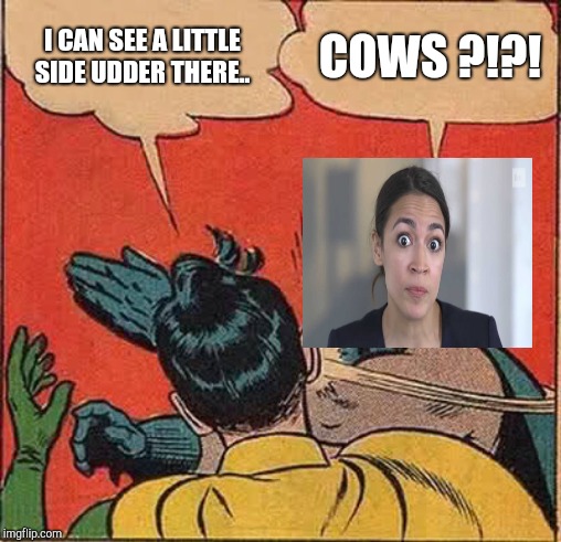 I CAN SEE A LITTLE SIDE UDDER THERE.. COWS ?!?! | image tagged in memes,batman slapping robin | made w/ Imgflip meme maker