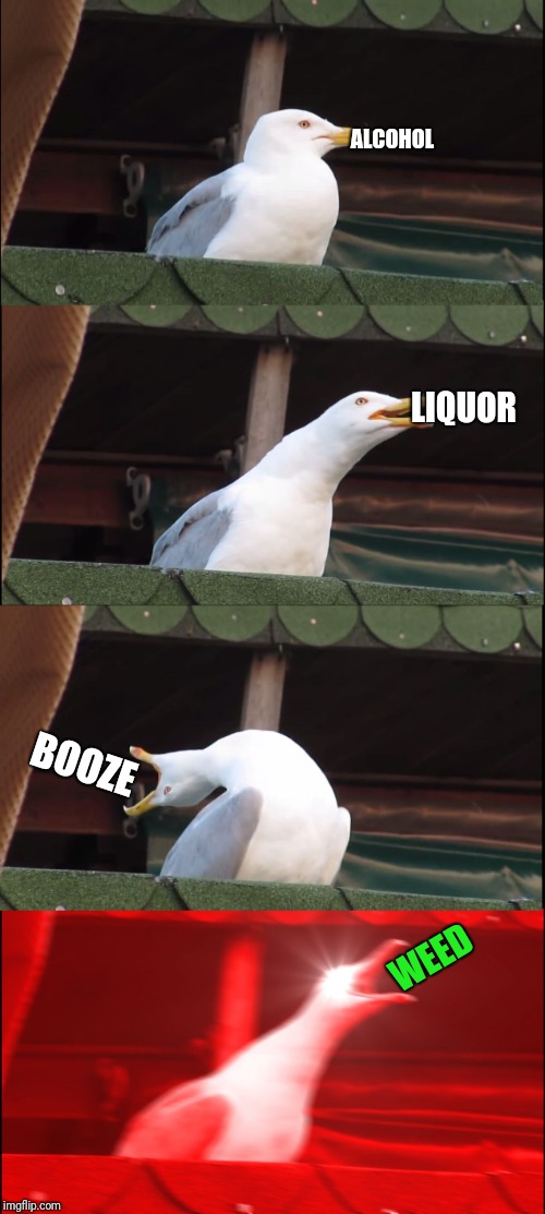 Inhaling Seagull | ALCOHOL; LIQUOR; BOOZE; WEED | image tagged in memes,inhaling seagull | made w/ Imgflip meme maker