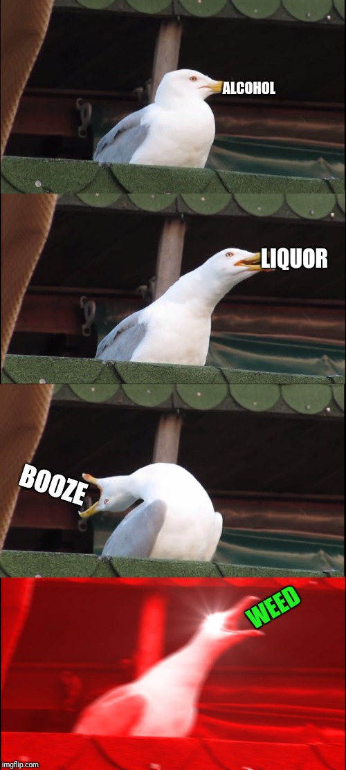 Inhaling Seagull Meme | ALCOHOL; LIQUOR; BOOZE; WEED | image tagged in memes,inhaling seagull | made w/ Imgflip meme maker