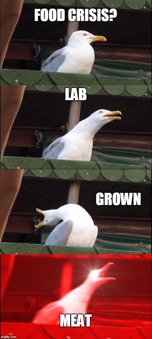Inhaling Seagull | FOOD CRISIS? LAB; GROWN; MEAT | image tagged in memes,inhaling seagull | made w/ Imgflip meme maker