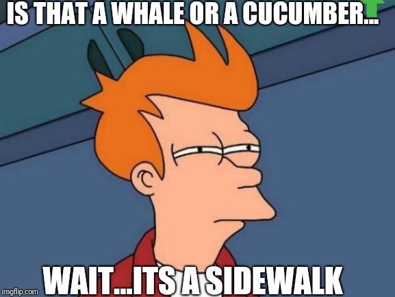 Futurama Fry Meme | IS THAT A WHALE OR A CUCUMBER... WAIT...ITS A SIDEWALK | image tagged in memes,futurama fry | made w/ Imgflip meme maker