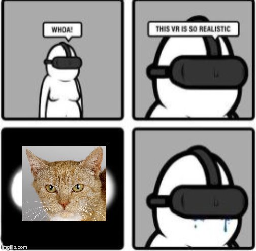 Cats On VR | image tagged in cats | made w/ Imgflip meme maker