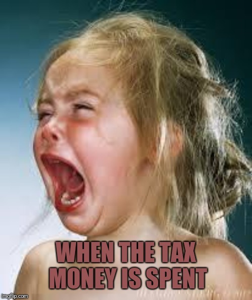 Crying Baby | WHEN THE TAX MONEY IS SPENT | image tagged in crying baby | made w/ Imgflip meme maker