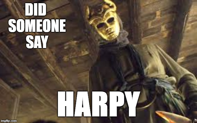 DID SOMEONE SAY; HARPY | image tagged in did someone sayharpy | made w/ Imgflip meme maker