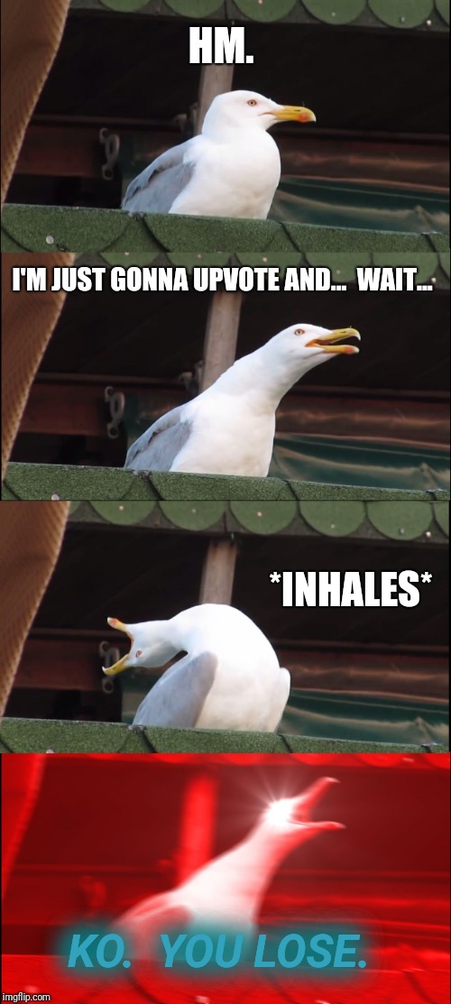 Inhaling Seagull Meme | HM. I'M JUST GONNA UPVOTE AND...  WAIT... *INHALES* KO.  YOU LOSE. | image tagged in memes,inhaling seagull | made w/ Imgflip meme maker