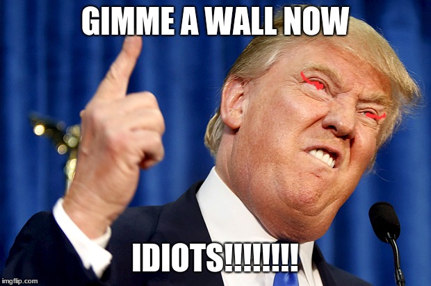 Trump will rage if he doesn't get it | GIMME A WALL NOW; IDIOTS!!!!!!!! | image tagged in donald trump,trump wall,build a wall,gimme,donald trump is an idiot,idiots | made w/ Imgflip meme maker
