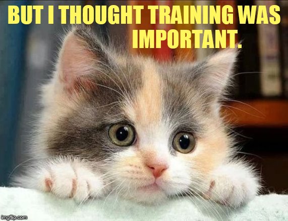 BUT I THOUGHT TRAINING WAS                     IMPORTANT. | made w/ Imgflip meme maker