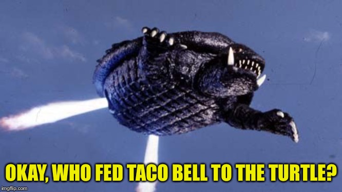 Who did it? | OKAY, WHO FED TACO BELL TO THE TURTLE? | image tagged in gamera | made w/ Imgflip meme maker
