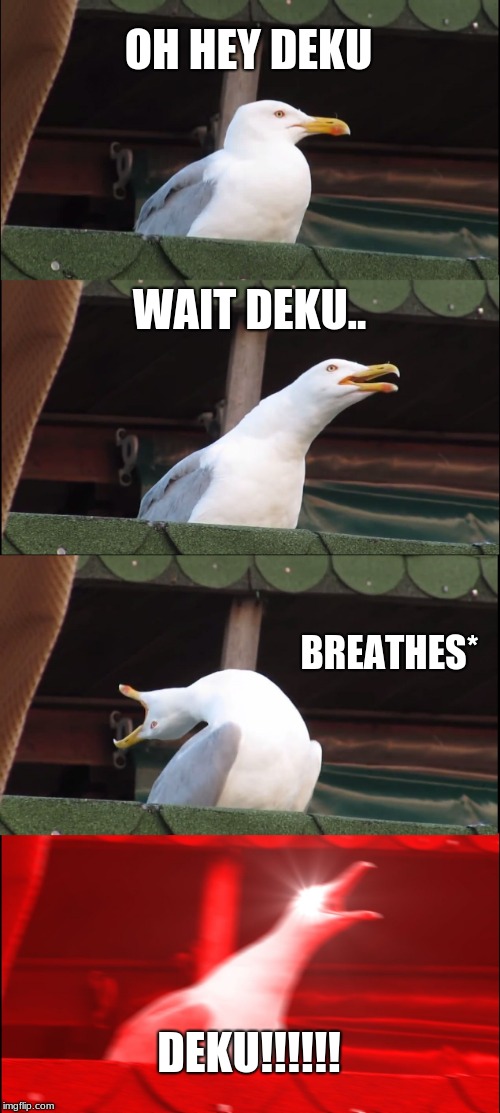 Inhaling Seagull | OH HEY DEKU; WAIT DEKU.. BREATHES*; DEKU!!!!!! | image tagged in memes,inhaling seagull | made w/ Imgflip meme maker
