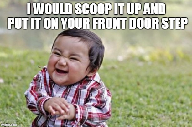 Evil Toddler Meme | I WOULD SCOOP IT UP AND PUT IT ON YOUR FRONT DOOR STEP | image tagged in memes,evil toddler | made w/ Imgflip meme maker