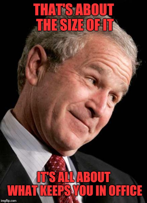 George Bush Blame | THAT'S ABOUT THE SIZE OF IT IT'S ALL ABOUT WHAT KEEPS YOU IN OFFICE | image tagged in george bush blame | made w/ Imgflip meme maker