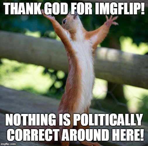 Squirrel Hallelujah | THANK GOD FOR IMGFLIP! NOTHING IS POLITICALLY CORRECT AROUND HERE! | image tagged in squirrel hallelujah | made w/ Imgflip meme maker