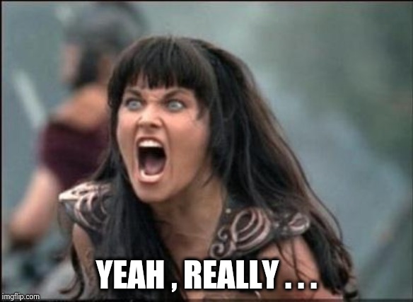 Angry Xena | YEAH , REALLY . . . | image tagged in angry xena | made w/ Imgflip meme maker