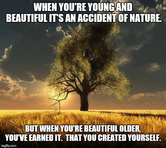 Tree of Life | WHEN YOU'RE YOUNG AND BEAUTIFUL IT'S AN ACCIDENT OF NATURE. BUT WHEN YOU'RE BEAUTIFUL OLDER, YOU'VE EARNED IT.  THAT YOU CREATED YOURSELF. | image tagged in tree of life | made w/ Imgflip meme maker