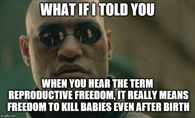 Matrix Morpheus | WHAT IF I TOLD YOU; WHEN YOU HEAR THE TERM REPRODUCTIVE FREEDOM, IT REALLY MEANS FREEDOM TO KILL BABIES EVEN AFTER BIRTH | image tagged in memes,matrix morpheus | made w/ Imgflip meme maker