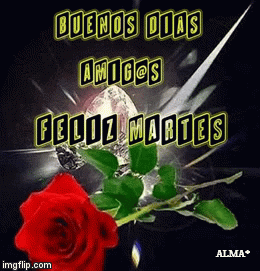 buenos dias. feliz martes. | ALMA* | image tagged in gifs | made w/ Imgflip video-to-gif maker