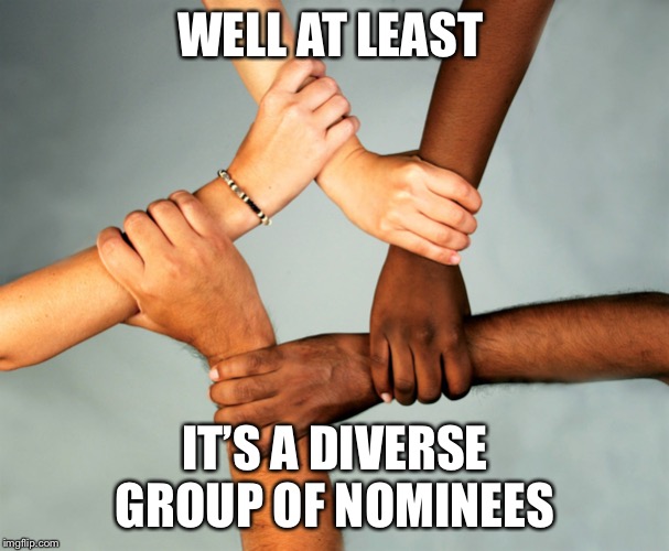 American Diversity | WELL AT LEAST IT’S A DIVERSE GROUP OF NOMINEES | image tagged in american diversity | made w/ Imgflip meme maker