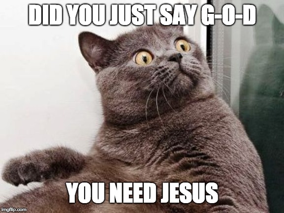 suprise cat | DID YOU JUST SAY G-O-D; YOU NEED JESUS | image tagged in suprise cat | made w/ Imgflip meme maker