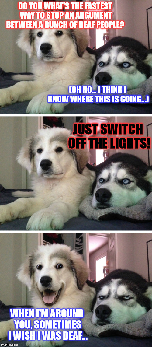 Stupidity makes a lot of noise... | DO YOU WHAT'S THE FASTEST WAY TO STOP AN ARGUMENT BETWEEN A BUNCH OF DEAF PEOPLE? (OH NO... I THINK I KNOW WHERE THIS IS GOING...); JUST SWITCH OFF THE LIGHTS! WHEN I'M AROUND YOU, SOMETIMES I WISH I WAS DEAF... | image tagged in bad pun dogs,funny,deaf,argument,dogs,jokes | made w/ Imgflip meme maker