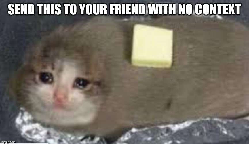 Send this to your friend with no context | SEND THIS TO YOUR FRIEND WITH NO CONTEXT | image tagged in hot,funny,cursed,cat,potato | made w/ Imgflip meme maker