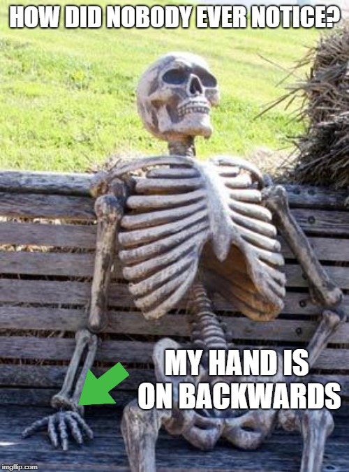 Assembled in China | HOW DID NOBODY EVER NOTICE? MY HAND IS ON BACKWARDS | image tagged in memes,waiting skeleton,hand,nobody cares | made w/ Imgflip meme maker