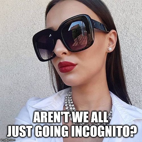 AREN'T WE ALL JUST GOING INCOGNITO? | made w/ Imgflip meme maker