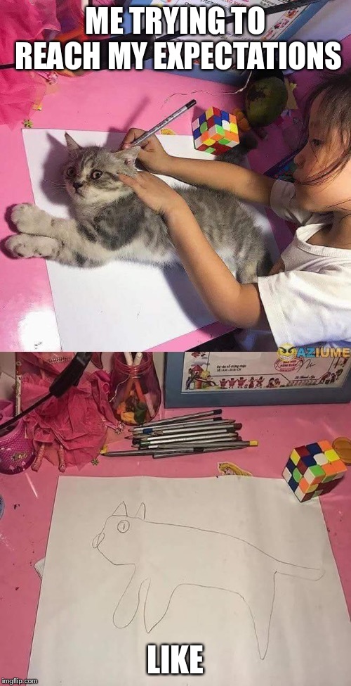 Girl tracing cat | ME TRYING TO REACH MY EXPECTATIONS; LIKE | image tagged in girl tracing cat | made w/ Imgflip meme maker