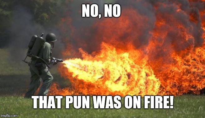 flamethrower | NO, NO THAT PUN WAS ON FIRE! | image tagged in flamethrower | made w/ Imgflip meme maker