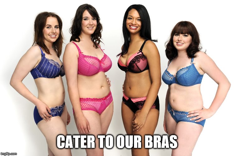 sexy woman | CATER TO OUR BRAS | image tagged in sexy woman | made w/ Imgflip meme maker