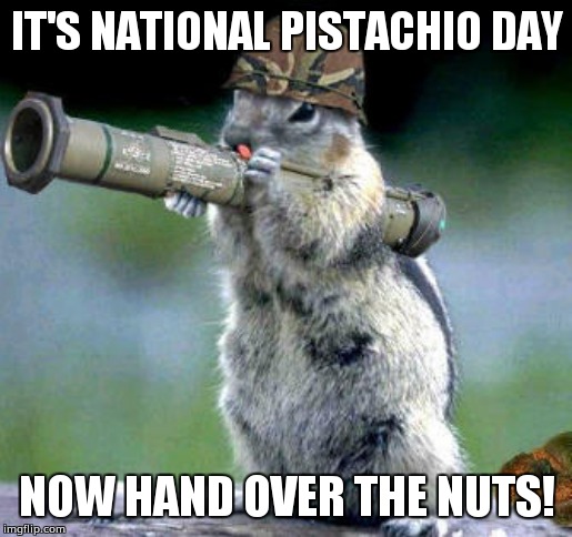 Bazooka Squirrel | IT'S NATIONAL PISTACHIO DAY; NOW HAND OVER THE NUTS! | image tagged in memes,bazooka squirrel | made w/ Imgflip meme maker