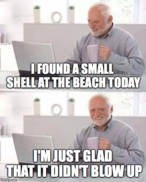 Let's "shellabrate" his safe return | I FOUND A SMALL SHELL AT THE BEACH TODAY; I'M JUST GLAD THAT IT DIDN'T BLOW UP | image tagged in memes,hide the pain harold,funny,shells,memelord344,explosion | made w/ Imgflip meme maker