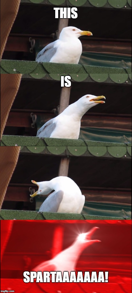 300 seagull | THIS; IS; SPARTAAAAAAA! | image tagged in memes,inhaling seagull,this is sparta,300 | made w/ Imgflip meme maker