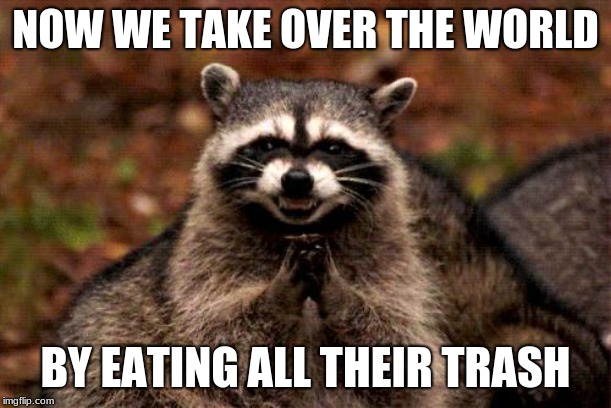 Evil Plotting Raccoon | NOW WE TAKE OVER THE WORLD; BY EATING ALL THEIR TRASH | image tagged in memes,evil plotting raccoon | made w/ Imgflip meme maker