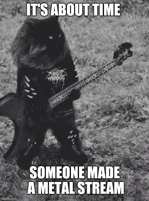Black Metal Cat | IT'S ABOUT TIME SOMEONE MADE A METAL STREAM | image tagged in black metal cat | made w/ Imgflip meme maker