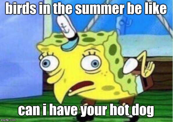 Mocking Spongebob | birds in the summer be like; can i have your hot dog | image tagged in memes,mocking spongebob | made w/ Imgflip meme maker