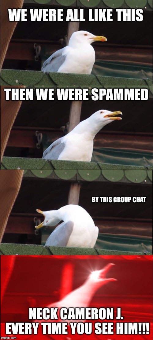 Inhaling Seagull | WE WERE ALL LIKE THIS; THEN WE WERE SPAMMED; BY THIS GROUP CHAT; NECK CAMERON J. EVERY TIME YOU SEE HIM!!! | image tagged in memes,inhaling seagull | made w/ Imgflip meme maker